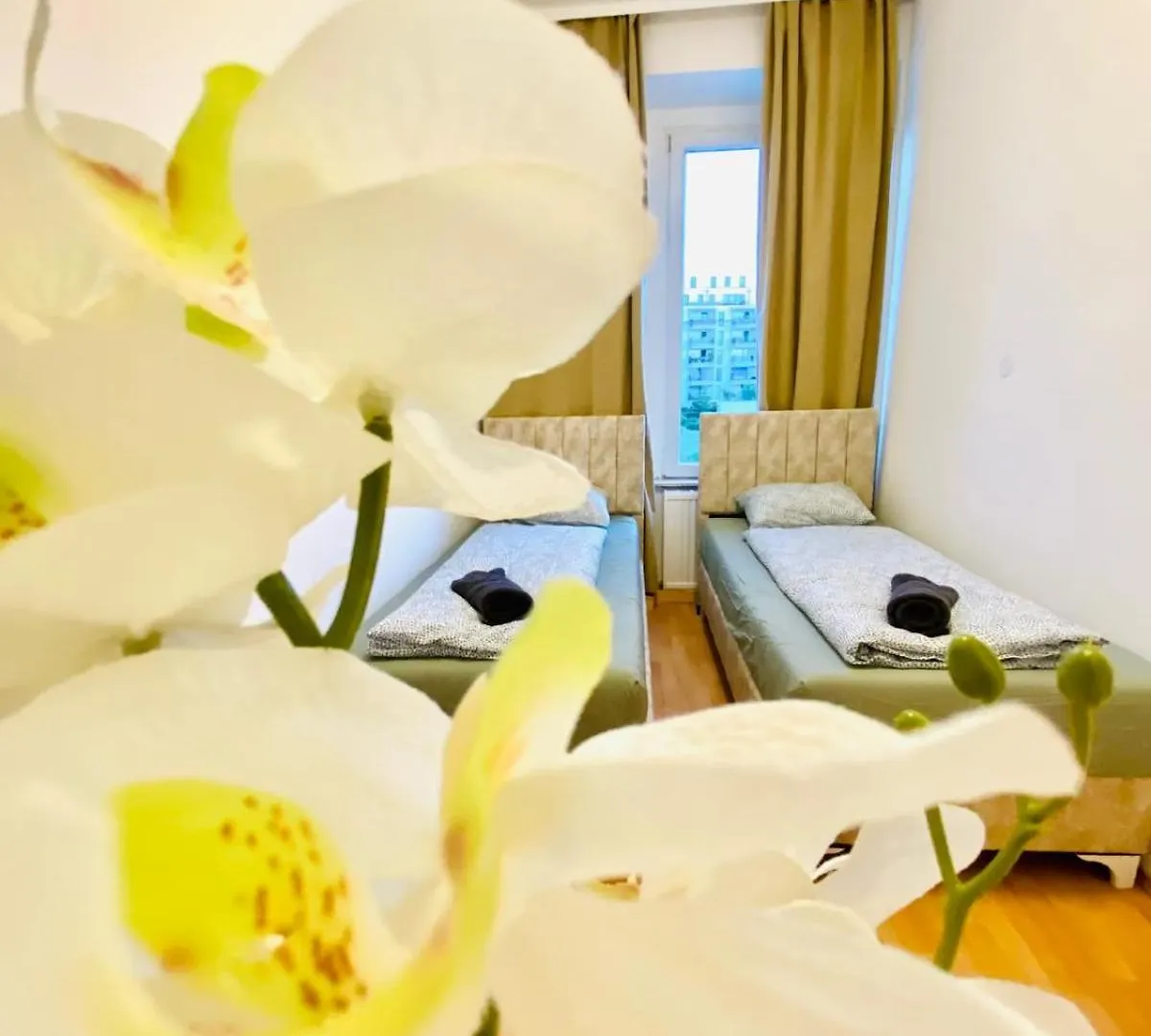 Apartament Comfortable 5Br Shared Apt Well Connected Location Viena Austria